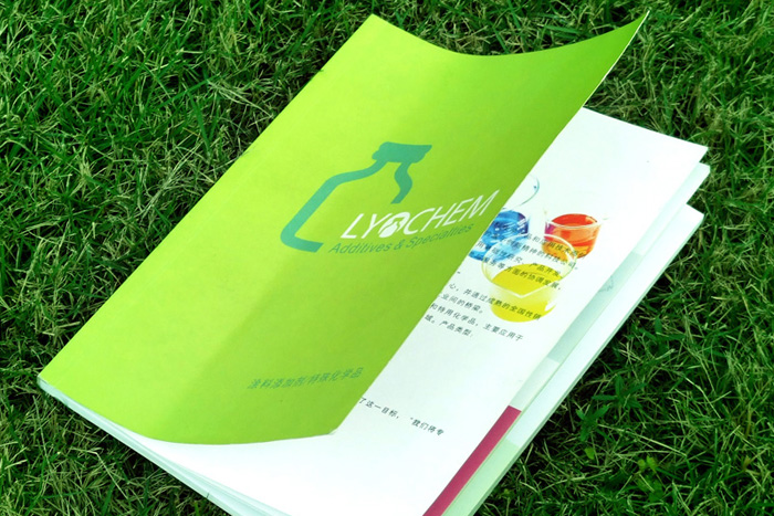 雷升化學(xué)產(chǎn)品目錄手冊設(shè)計