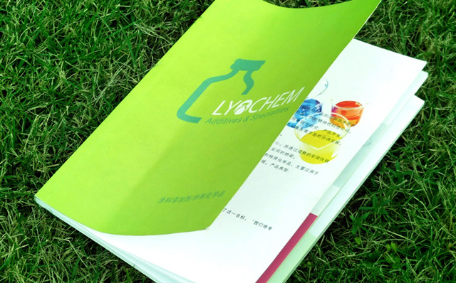 雷升化學(xué)產(chǎn)品型錄手冊(cè)